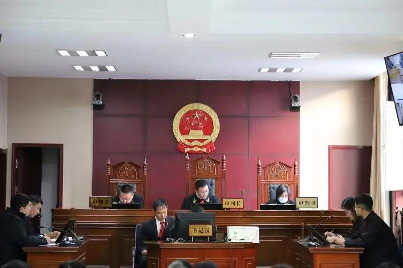 偏關(guān)最新案件深度解析，揭示真相，關(guān)注社會(huì)公正與公平