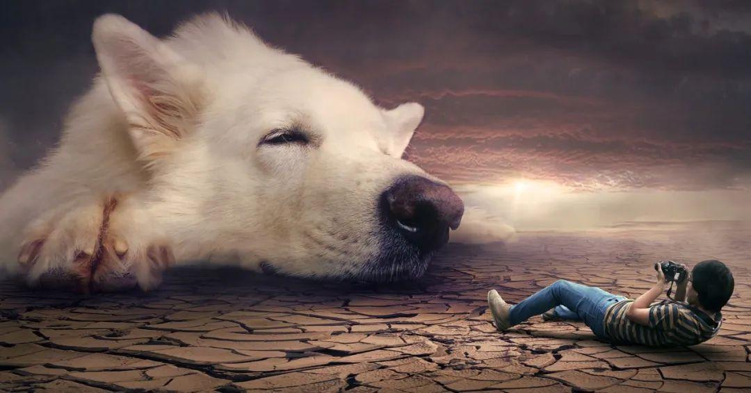 夢(mèng)境最新研究揭秘，探索人類夢(mèng)境的奧秘