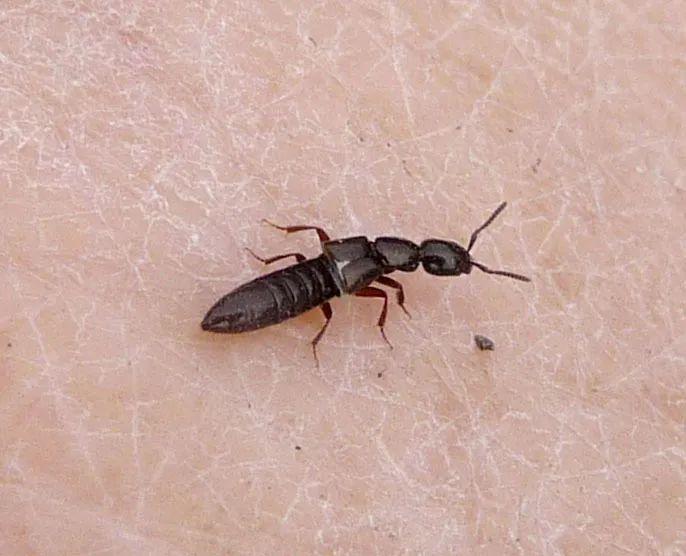 高效應(yīng)對(duì)問(wèn)題關(guān)鍵策略，最新處理方法詳解