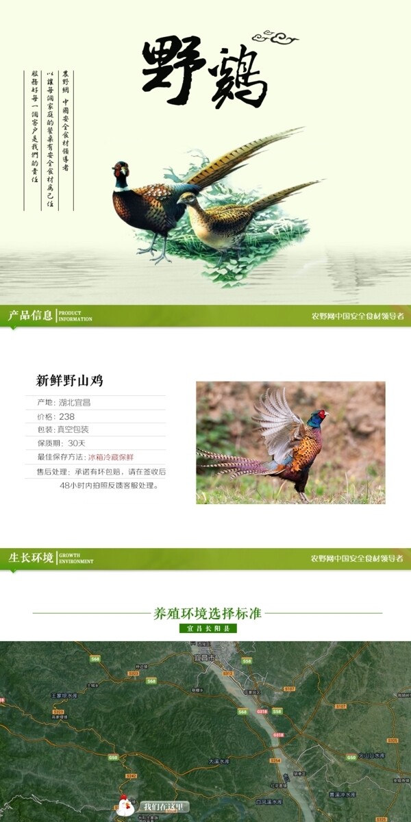 深度剖析，最新山雞的背景、事件與地位概述