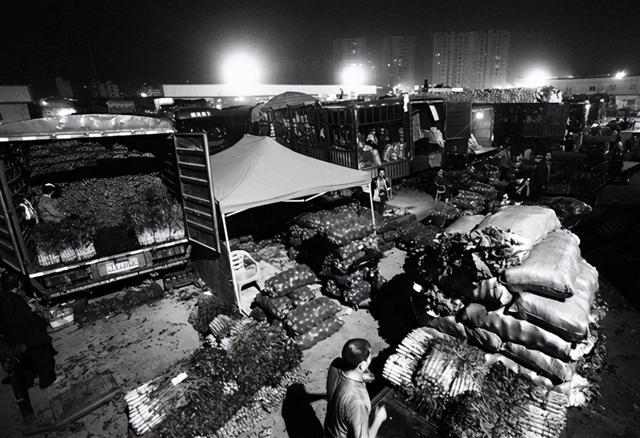 掌握新技能與完成任務(wù)，最新趨勢下的步驟指南