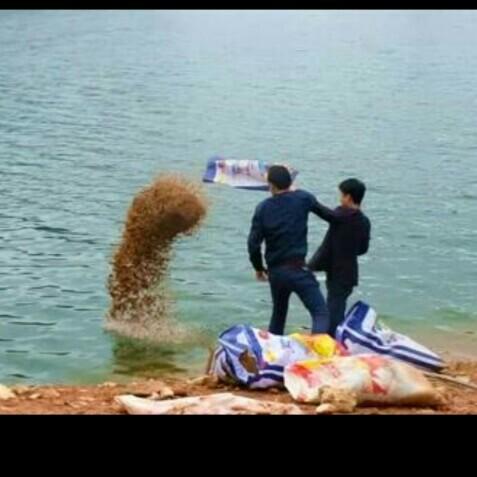 科學(xué)釣魚最新探索，學(xué)習(xí)與實(shí)踐的成就感之旅