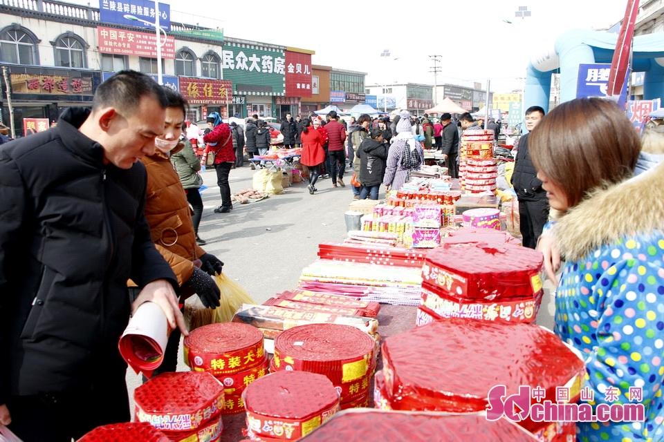 淘元素最新，淘淘的奇妙冒險之旅與友情的溫暖體驗