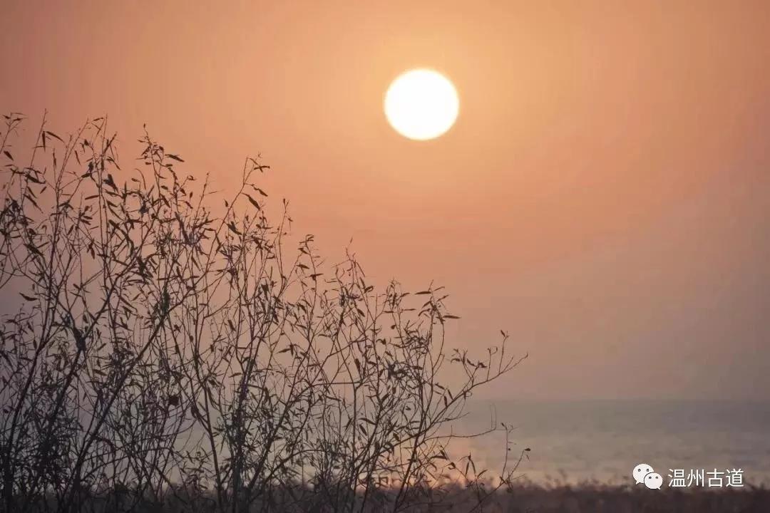 最新瘟疫詩詞，時代之聲與人文關懷的交融展現