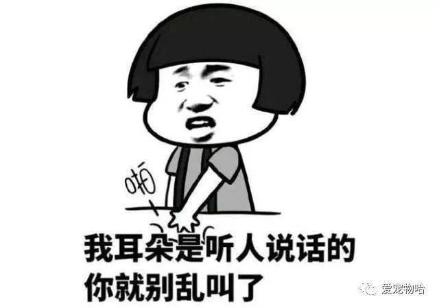 最新枕邊笑話，科技小寶貝，生活添樂(lè)趣