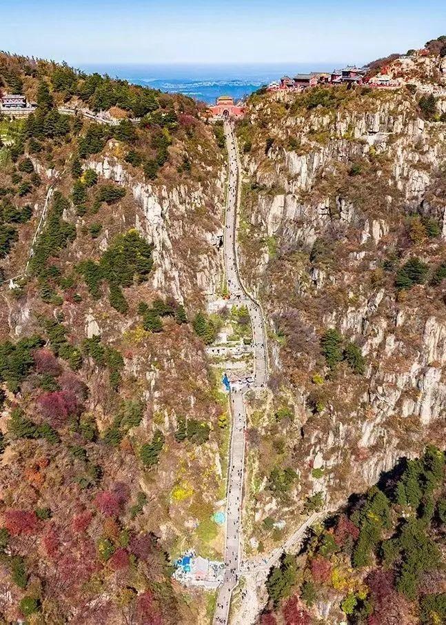 泰山最新聞，觀點與立場的深度探討