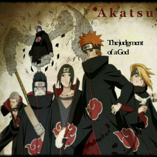 曉組織最新動態(tài)揭秘，探究其發(fā)展與影響