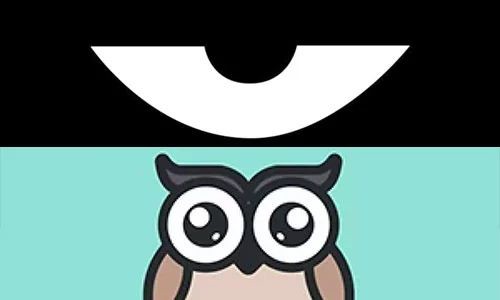 最新積目，全面解讀與觀點闡述