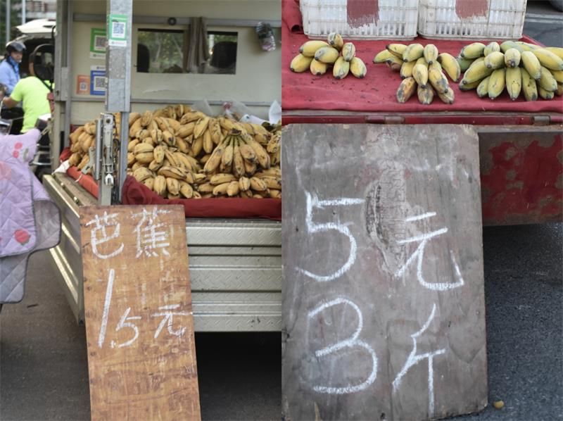 芭蕉最新價格，開啟心靈平靜的綠色之旅