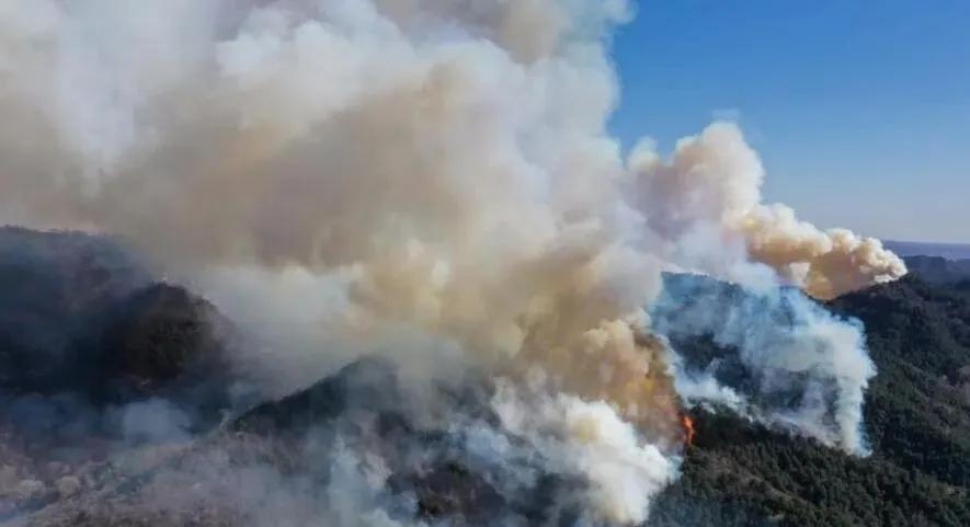 榆社山火防控指南，從初學(xué)者到進(jìn)階用戶的全步驟學(xué)習(xí)與防火任務(wù)實踐