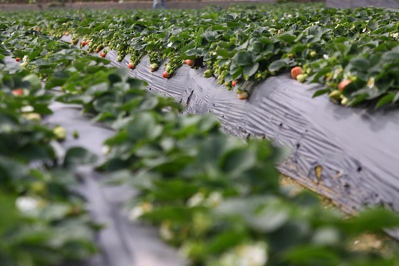 湖北最新封鎖，科技智能重塑防線，守護生活安全