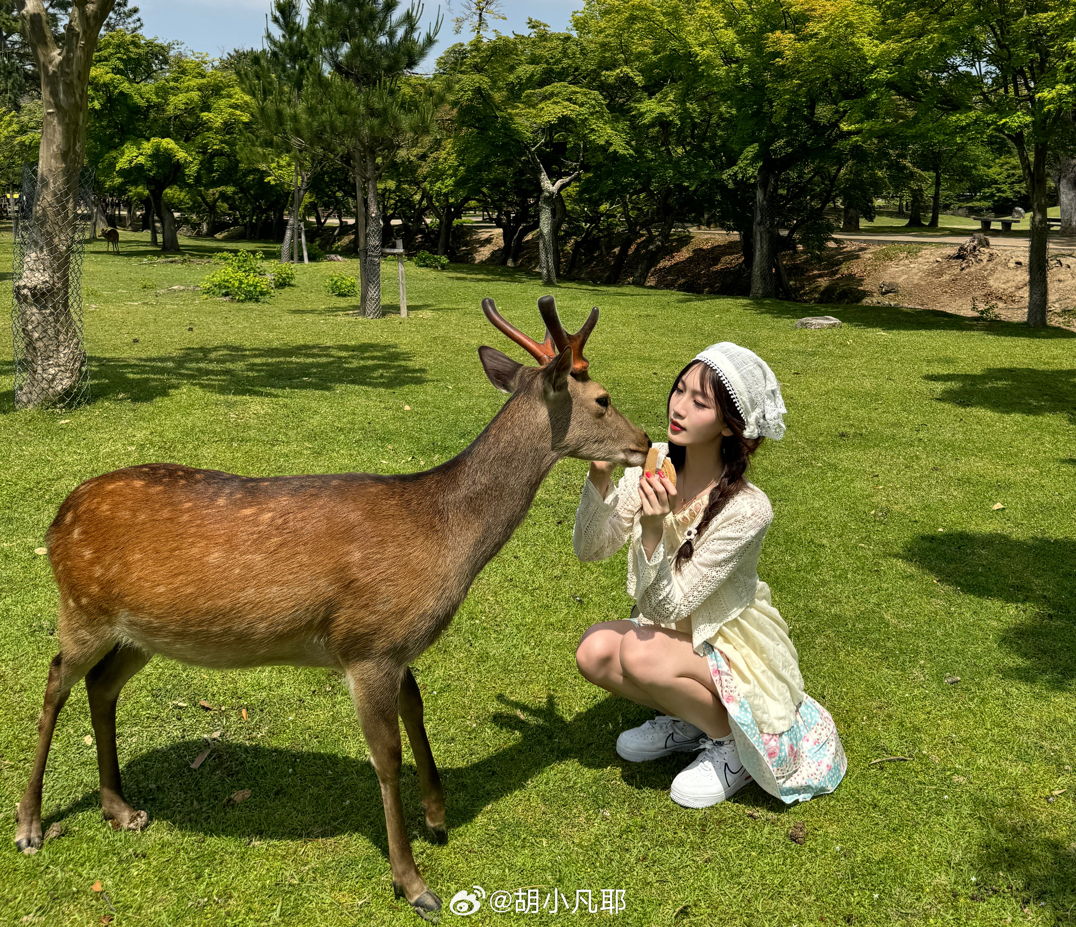 小鹿鹿最新，自然美景的探索之旅