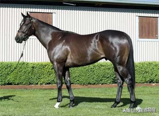 卡拉卡最新指南，任務完成與技能學習步驟攻略