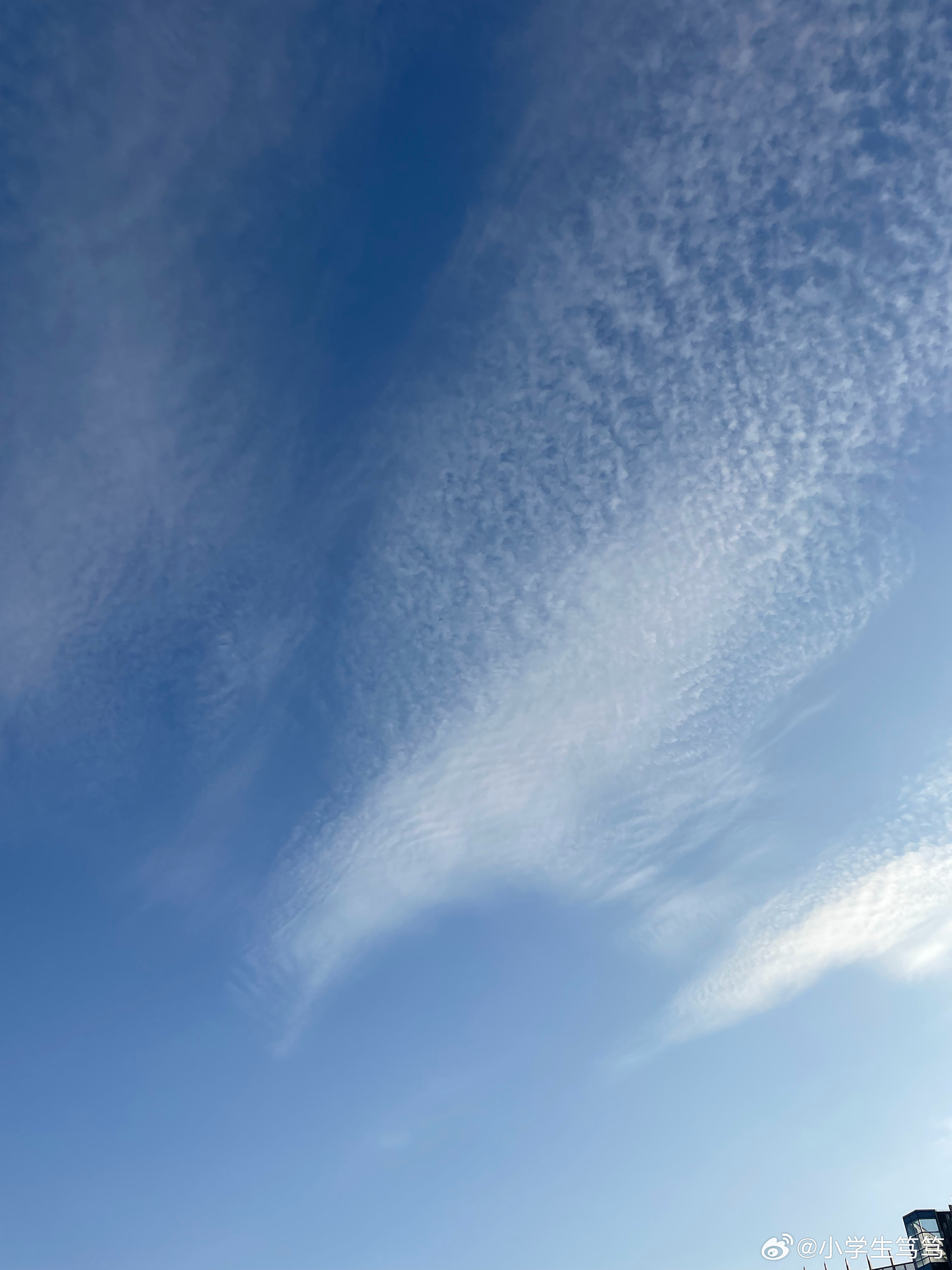 云飄飄最新，小巷深處的獨特風(fēng)味美食體驗