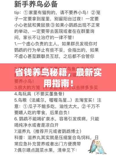 最新養(yǎng)鳥法規(guī)解析，觀點(diǎn)闡述與深度探討