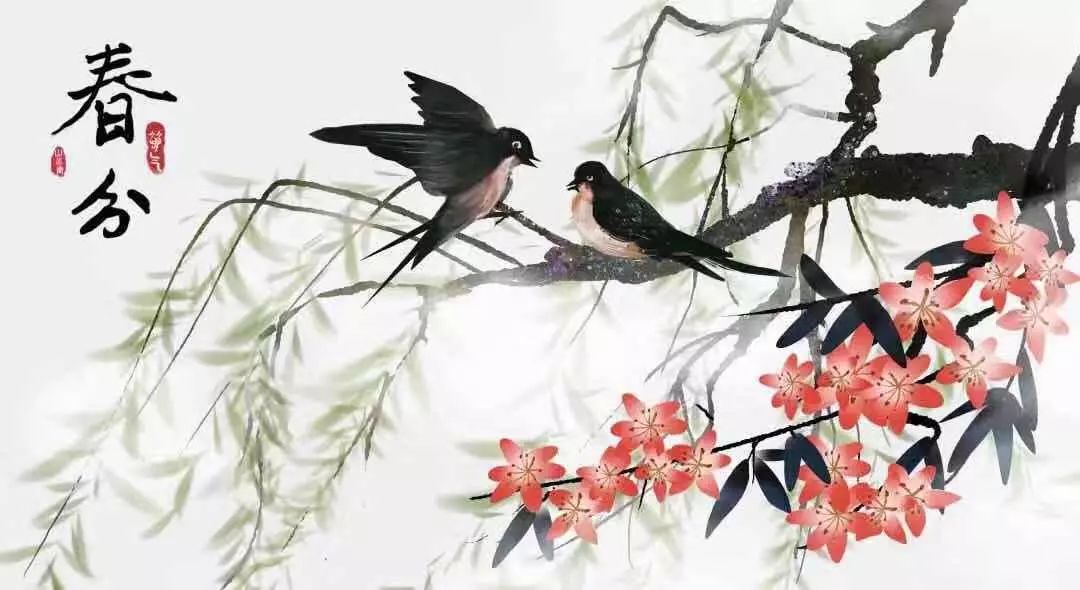 春分最新圖片，展現(xiàn)自然之美的瞬間