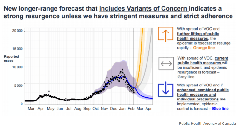 約克最新疫情動(dòng)態(tài)，學(xué)習(xí)變化中的自信與成就力量
