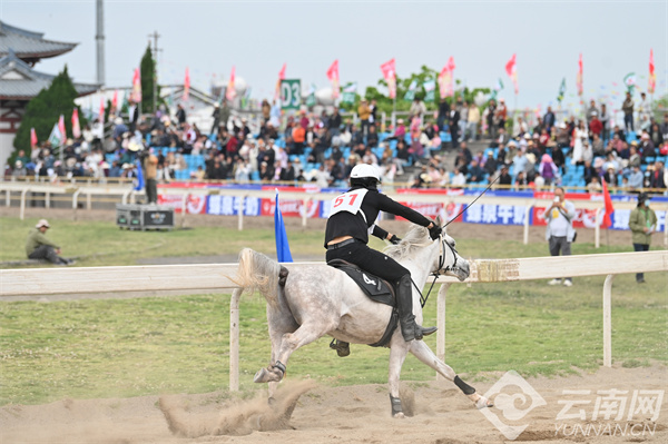 馬王最新動(dòng)態(tài)，探索馬術(shù)世界的新篇章