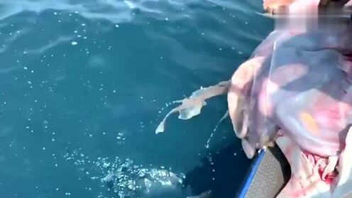 最新魚人流技術(shù)革命，高科技產(chǎn)品重塑未來生活體驗