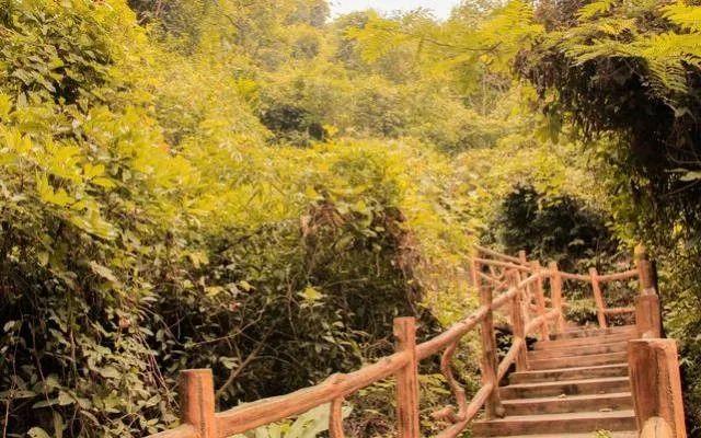 運(yùn)動(dòng)場館燈具 第68頁