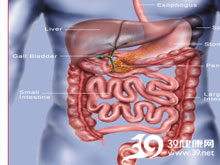 高科技產(chǎn)品重塑生活，體驗前沿魅力，探索腸鳴最新技術(shù)