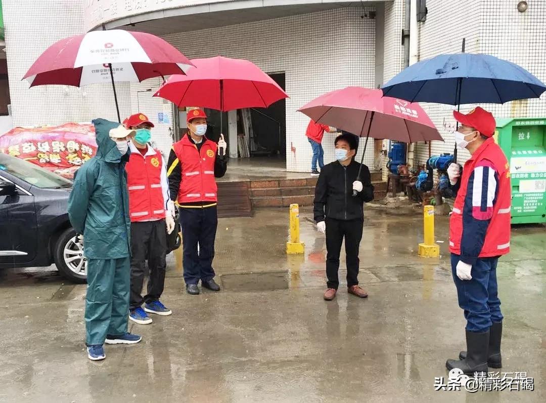 石碣最新疫情動態(tài)，變化中的學習，鑄就未來力量