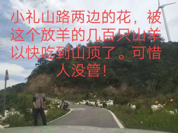 大悟最新路，探索未知，自信成就夢(mèng)想之旅的啟程