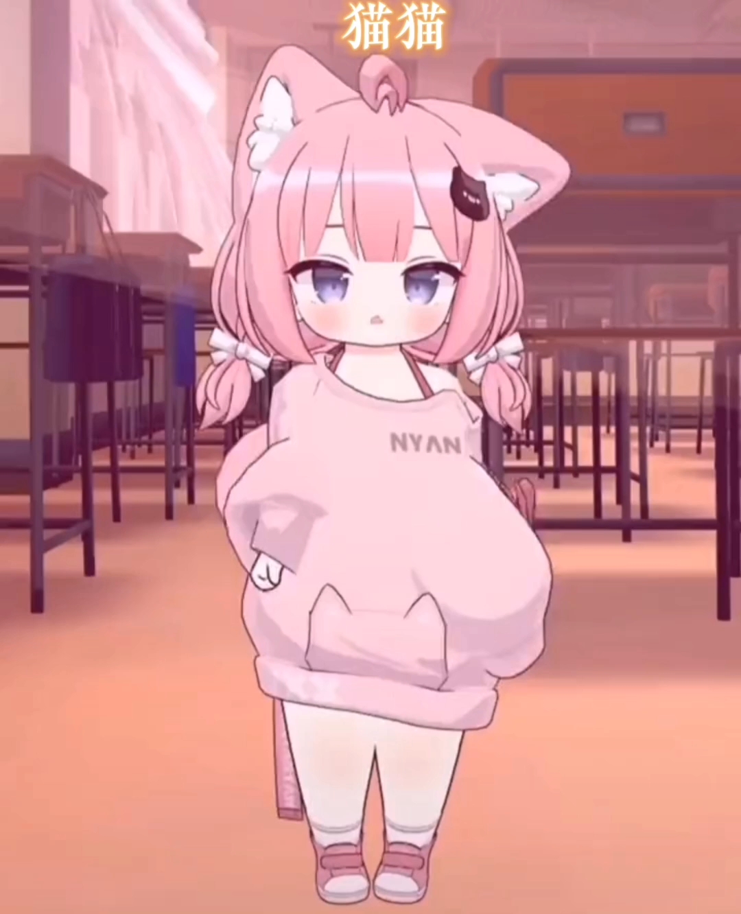 貓妹妹最新動態(tài)，萌態(tài)盡顯，溫暖你的心??