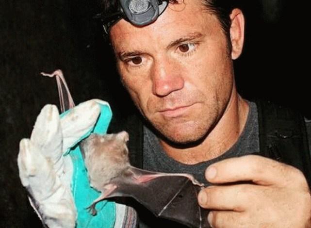 蝙蝠最新電影，自信與成長的翅膀，勵志翱翔天空之旅