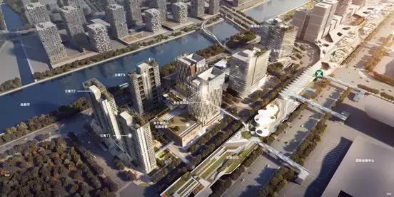 新中港最新動態(tài)，時代的新航標(biāo)已啟航