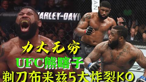 小菊最新比賽，友誼與夢想的絢爛綻放