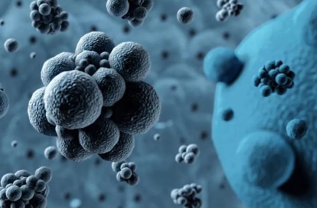 病毒擴(kuò)散最新情況，自然探險之旅尋求內(nèi)心平和之地