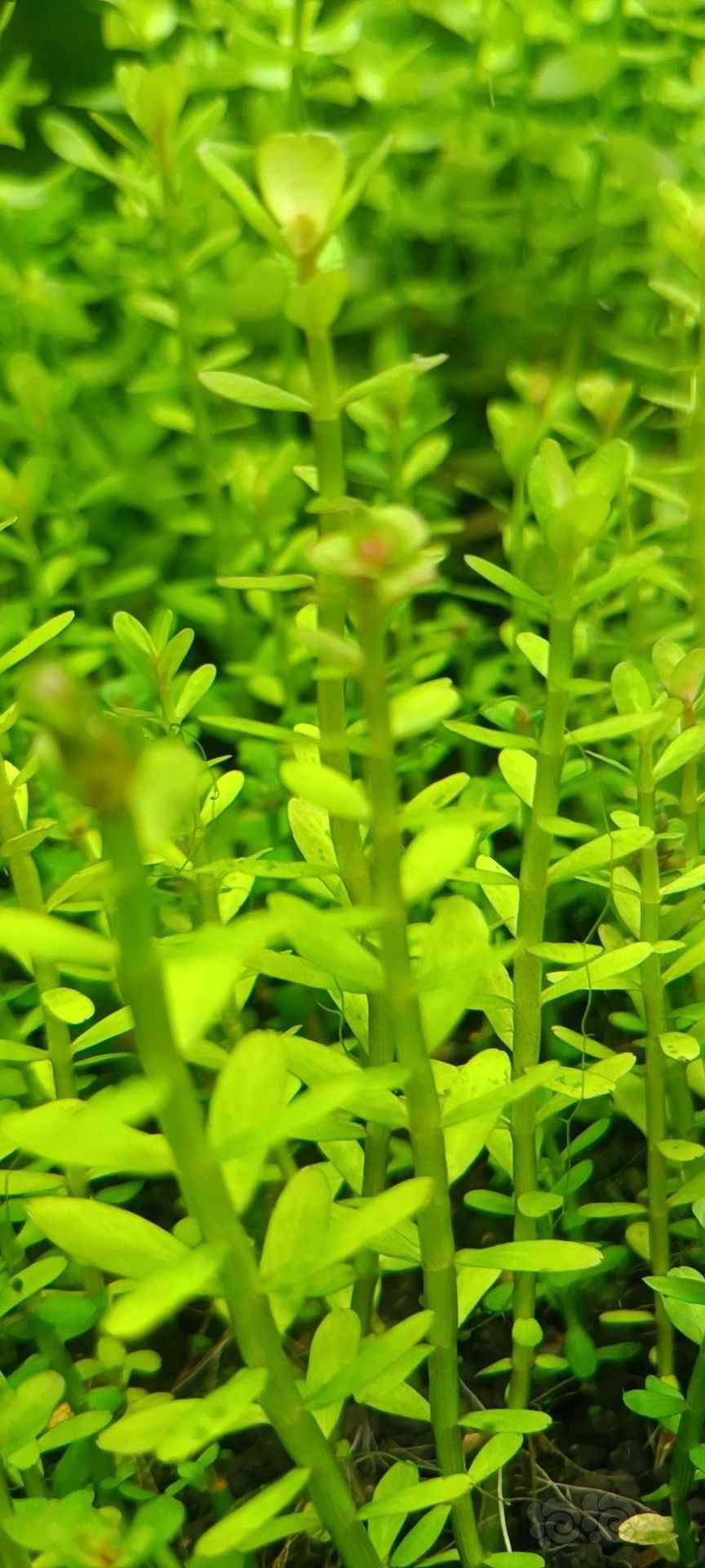 最新福利草草，自然美景之旅，探尋內心平和與喜悅的旅程