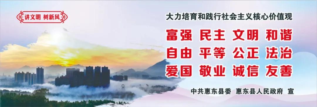 惠州肺炎最新動(dòng)態(tài)，小巷深處的獨(dú)特小店背后的故事