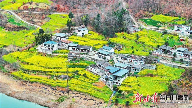 揭秘文縣，歷史背景、重大事件與時代地位全景展示