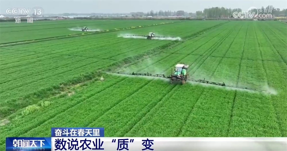 最新農業(yè)農村發(fā)展，播種希望，收獲自信與成就感