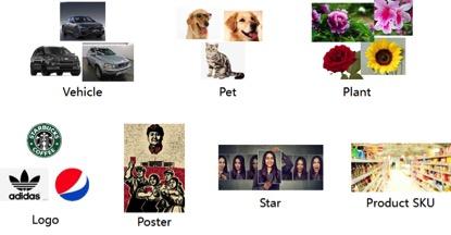 模型壓縮最新進(jìn)展，帶你探索前沿科技，高效應(yīng)用輕松實(shí)現(xiàn)！