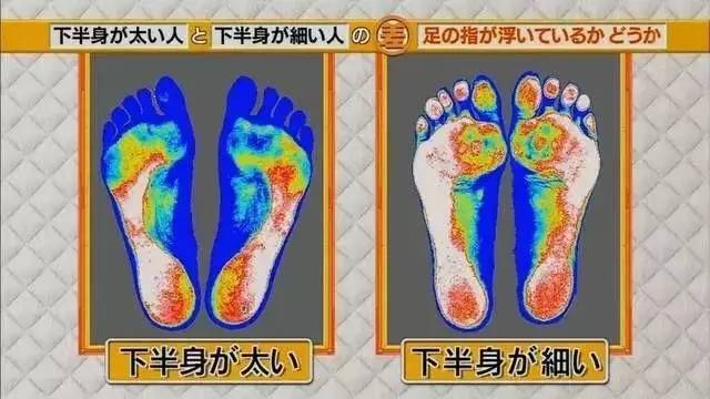 最新地趾論述，探索、爭議與觀點(diǎn)綜述