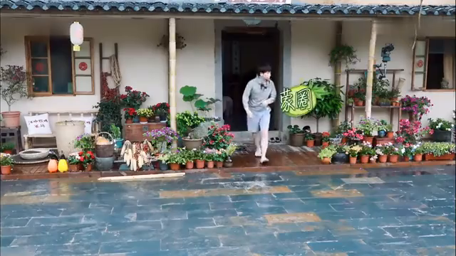 最新蘑菇屋，自然與生活完美融合的夢幻之地