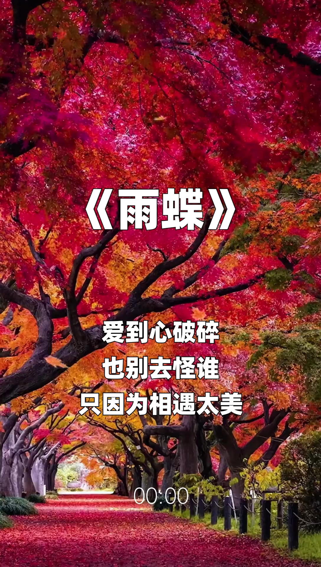 雨蝶最新步驟指南，如何完成任務(wù)或?qū)W習(xí)技能？