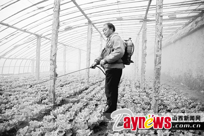 最新農(nóng)藥抽檢結(jié)果出爐，守護(hù)農(nóng)田安全，你我他的共同責(zé)任