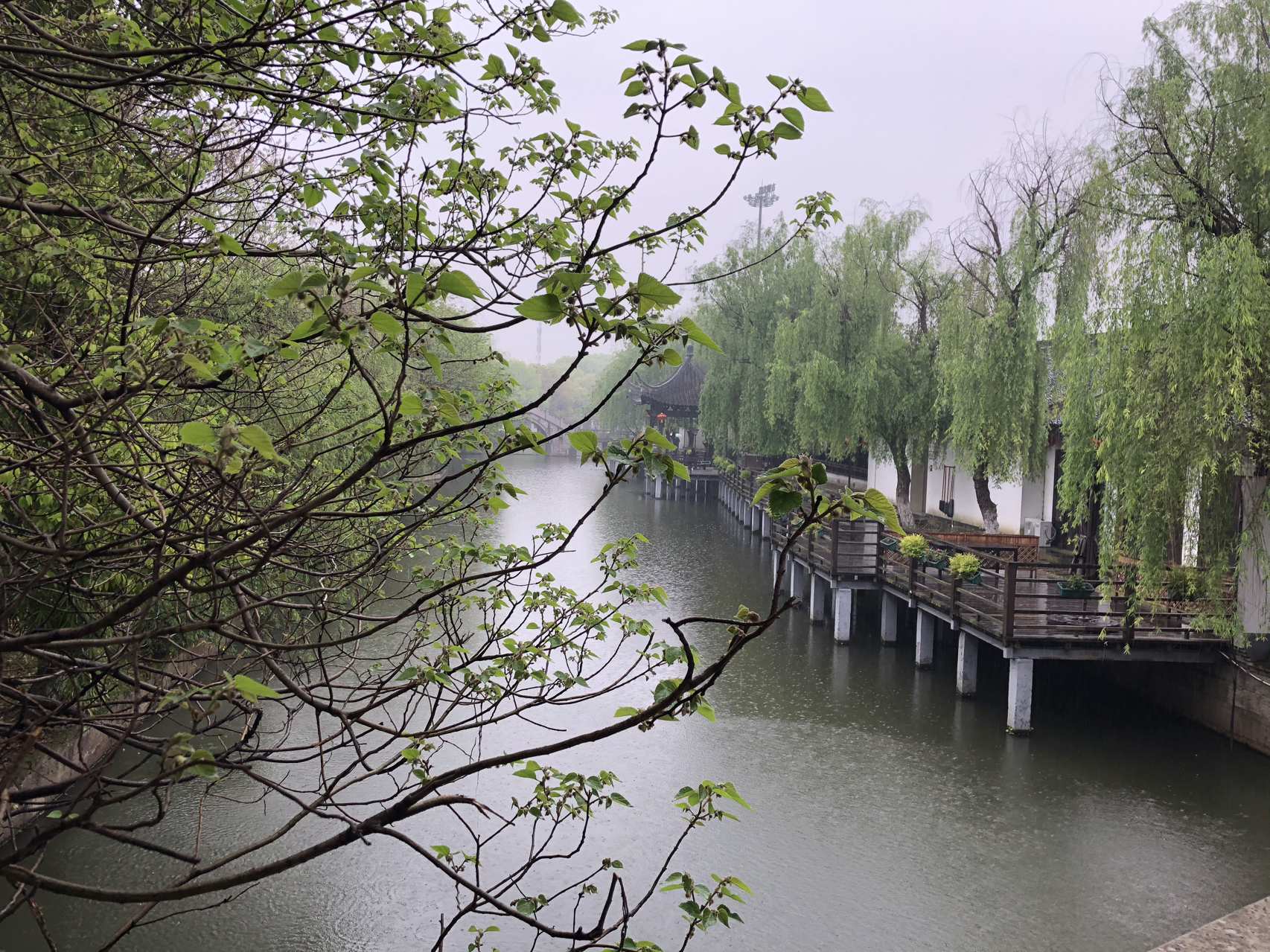 江南煙雨最新，自信與成就感的成長(zhǎng)之旅