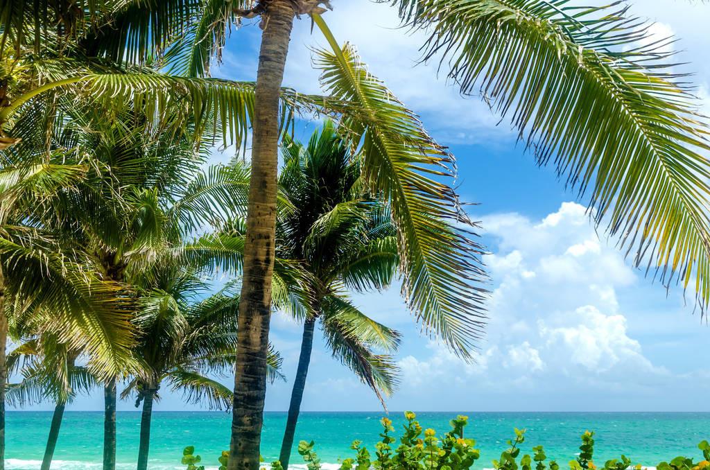 科技重塑旅行體驗(yàn)，最新付費(fèi)機(jī)場(chǎng)概覽