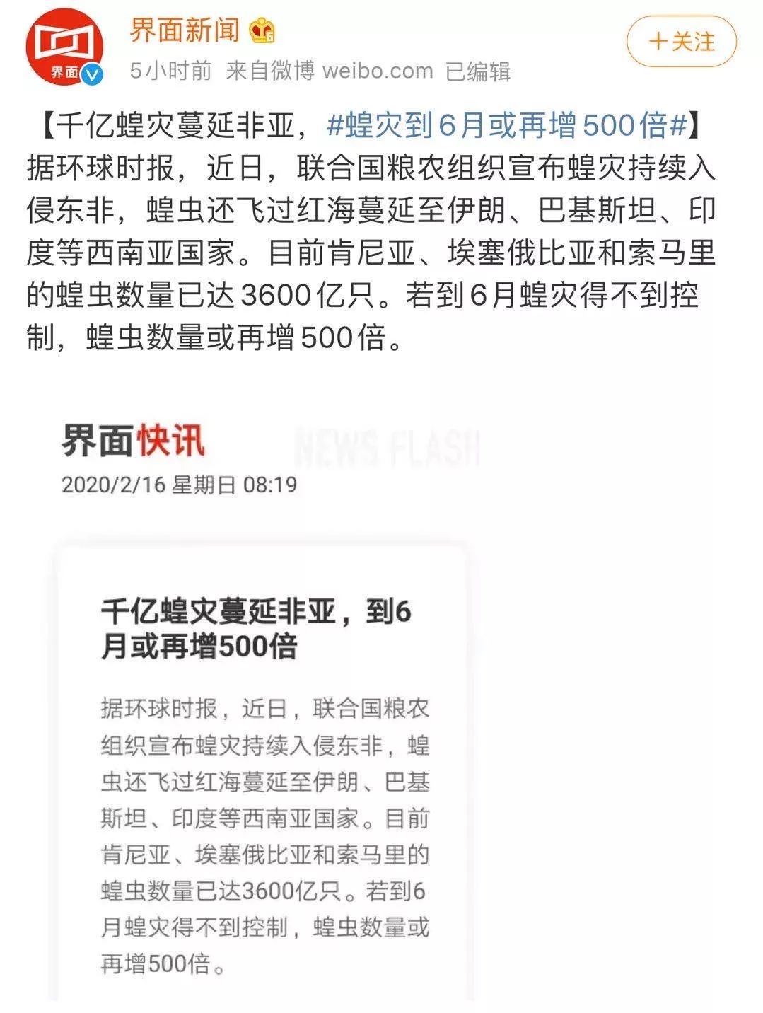 世界蝗災(zāi)最新動態(tài)，探索自然美景的輕松之旅