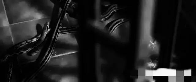 香港最新房?jī)r(jià)趨勢(shì)展望，2025年分析與展望