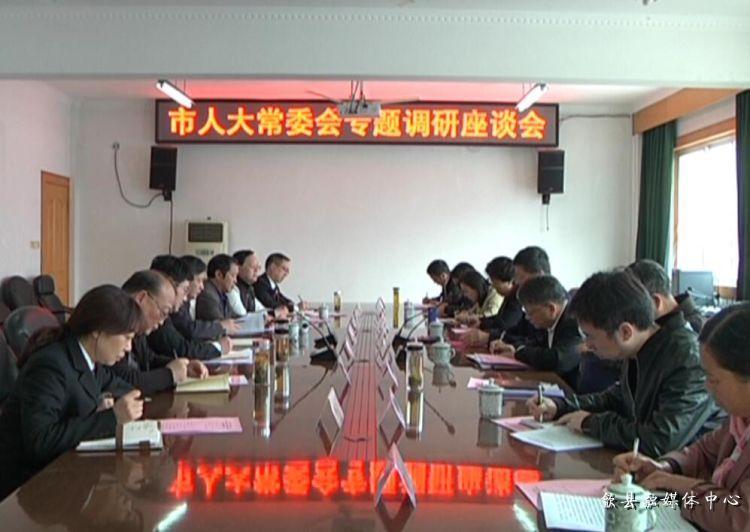 安徽歙縣最新動(dòng)態(tài)，小巷深處的驚喜