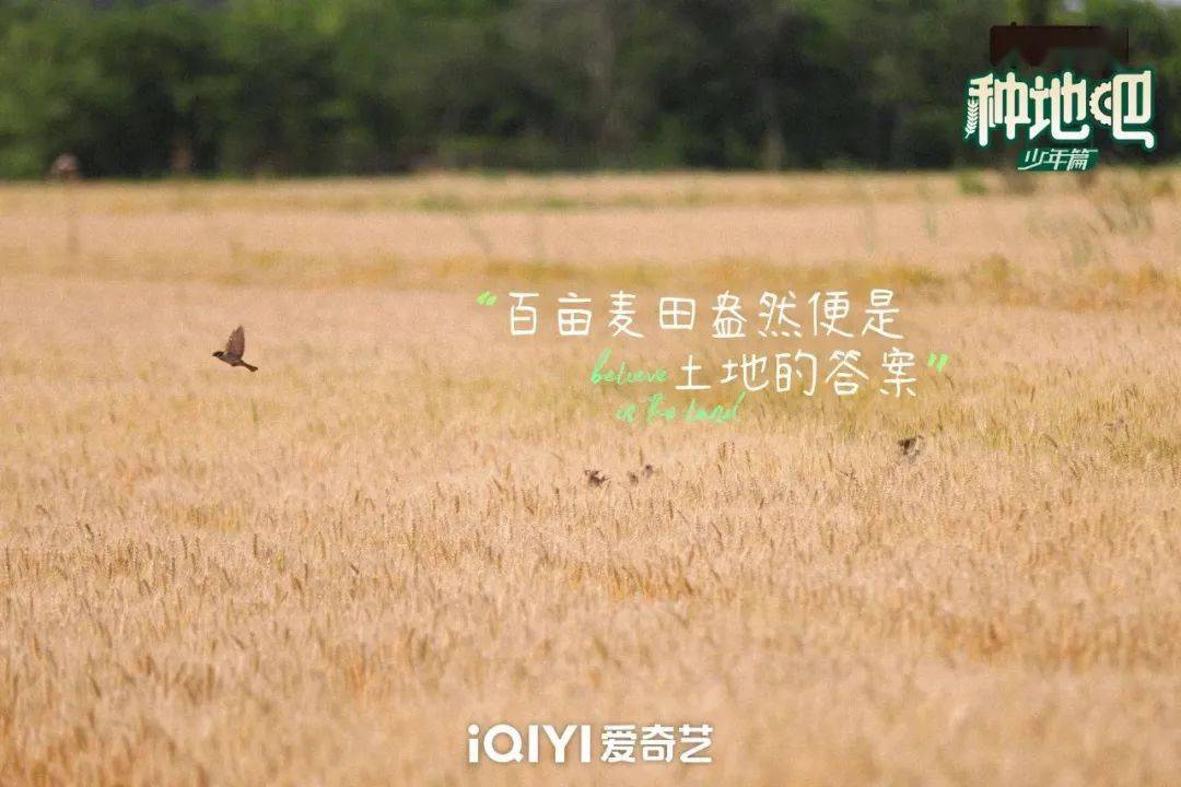 種地吧最新語(yǔ)錄，探索未來(lái)農(nóng)業(yè)的高科技魅力