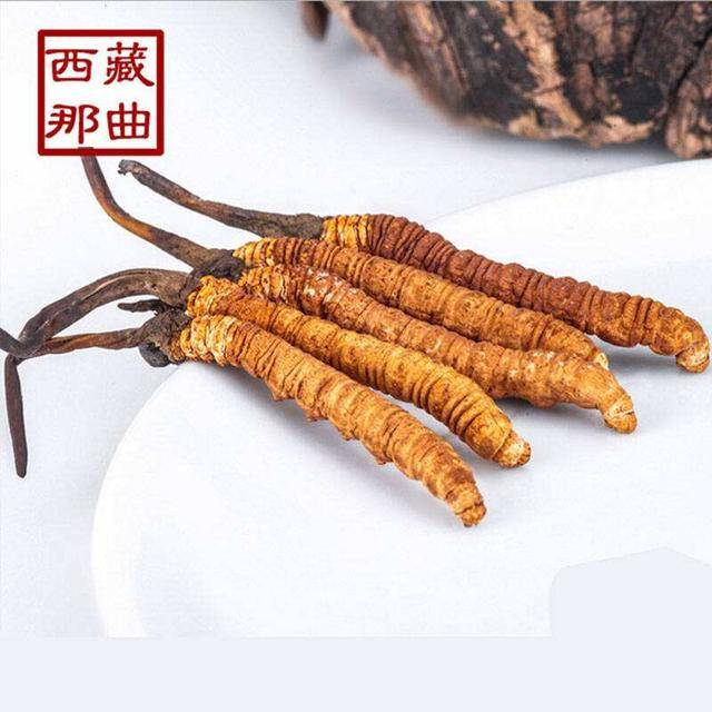 揭秘2025年蟲草最新價格，探尋小巷中的秘密行情！