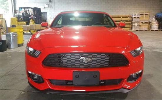 威路德最新款，小巷中的驚喜發(fā)現(xiàn)