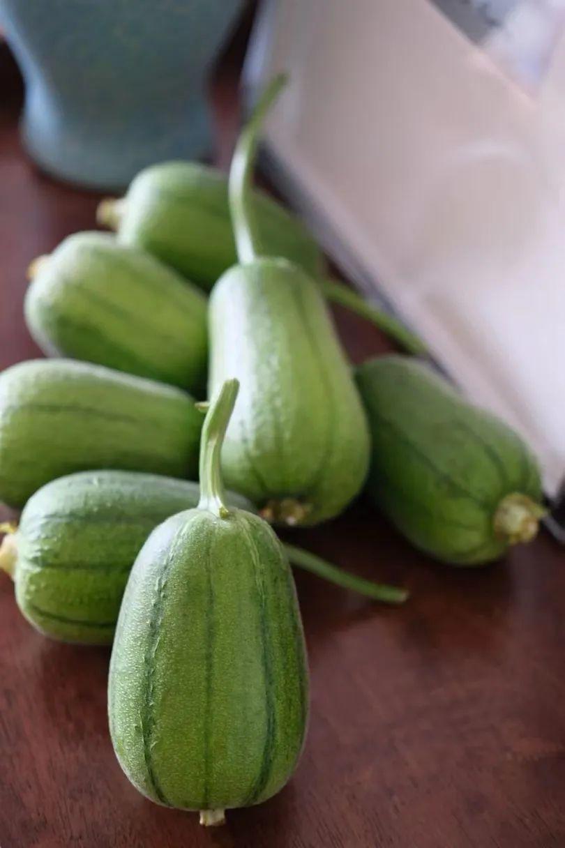 蘋(píng)果絲瓜最新版，全新升級(jí)魅力體驗(yàn)